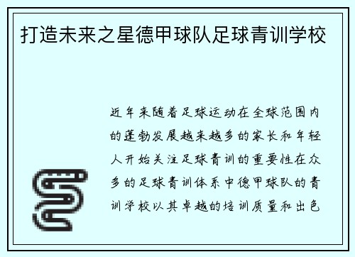 打造未来之星德甲球队足球青训学校